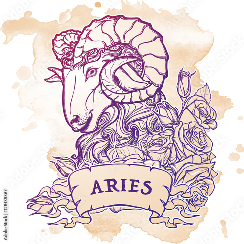 Zodiac sign of Taurus. with a decorative frame of roses Astrology concept art. Tattoo design. Sketch in pastel pallette isolated on white background. EPS10 vector illustration.