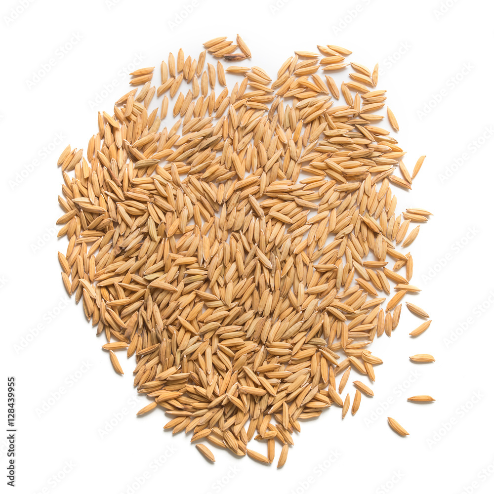 paddy seed on white background paddy seed on white background