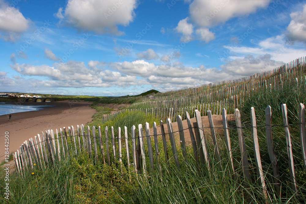 Picket fence used along with grass planting to help prevent wind and rain erosion of sand dunes.  This is important in the preservation of natural wildlife habitat