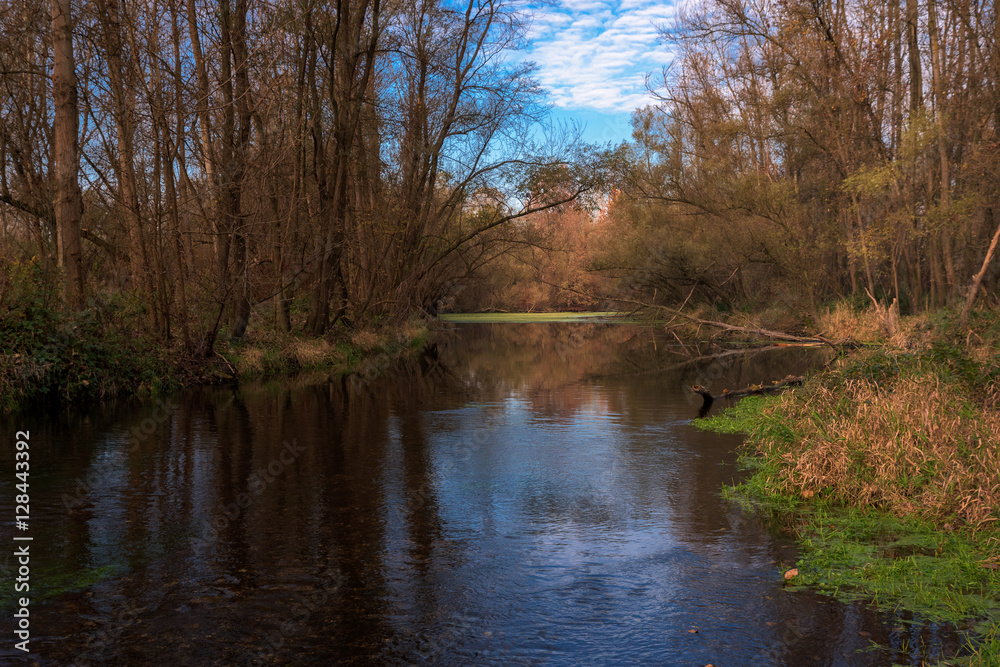 wonderful views of the Ticino river and the forest
