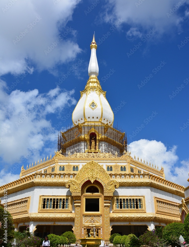 Fototapeta premium Views of farm,pagoda and old castle in Thailand.
