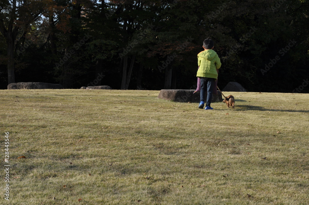 犬と少年 しつけ コミュニケーション能力 秋の公園 少年 ペット 犬 散歩 横顔 子供 子供 楽しい 遠足 アジア人 日本人 芝生 Fotografiya Stock Adobe Stock