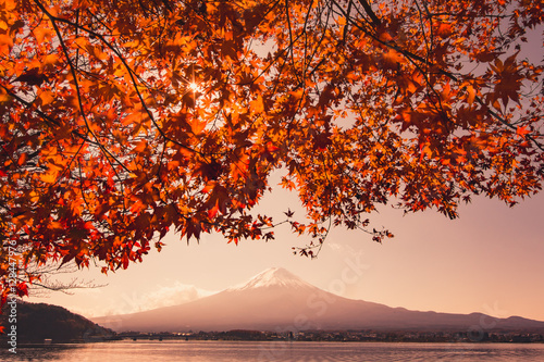 Sunset at Mountain Fuji and red maple tree in japan autumn season
