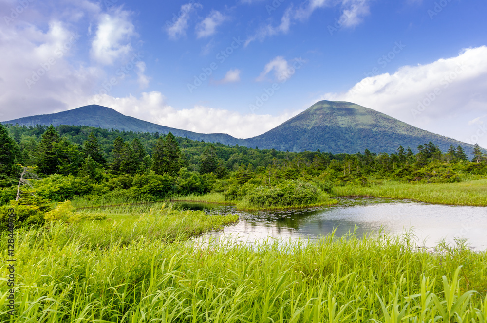 Mountain Pond covered with green reed. Mountain Pond covered with green reed.