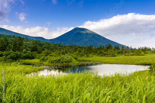 Mountain Pond covered with green reed.