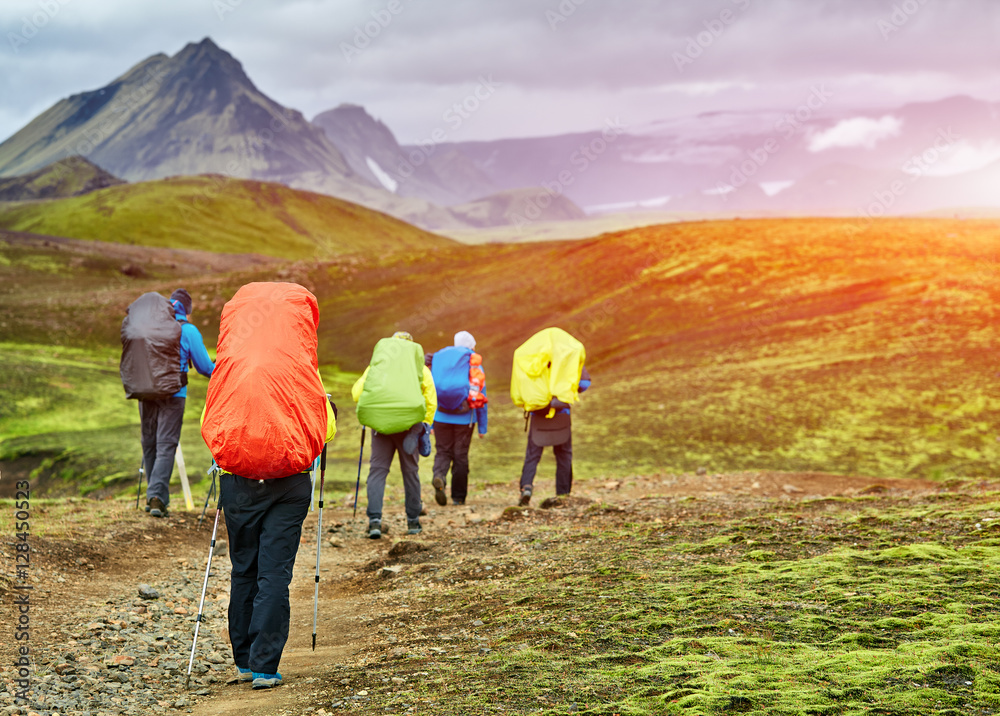 hikers with backpacks on the trail in the mountains. Trek in Iceland