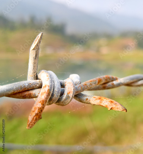 Barbed Wire