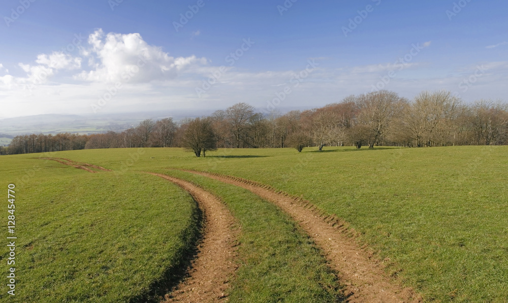 generic high resoltion image of a footpath in typical english co