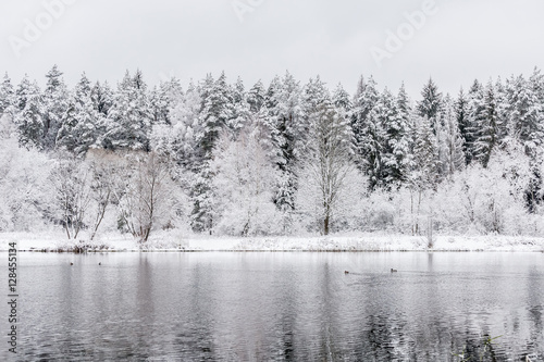 White winter landscape lake in the forest