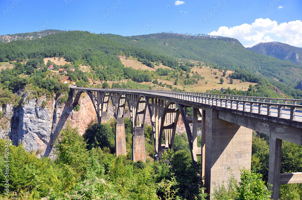 Durdevica bridge over the Tara river in Montenegro