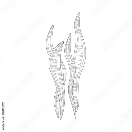 Long Seaweed Sea Underwater Nature Adult Black And White Zentangle Coloring Book Illustration