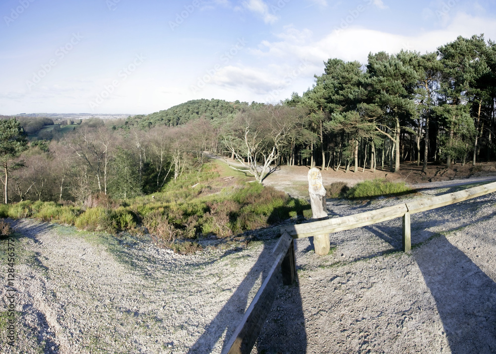 generic high resoltion image of a footpath in typical english co generic high resoltion image of a footpath in typical english co