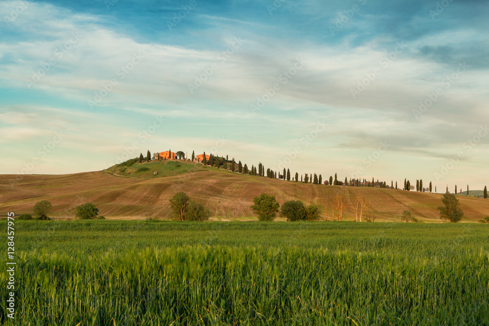 Typical Tuscany landscape springtime in Italy