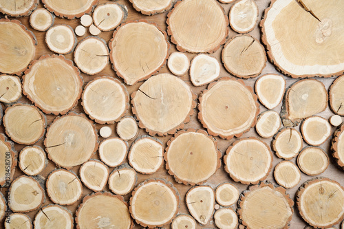 wall, background of wood, cut wooden disks