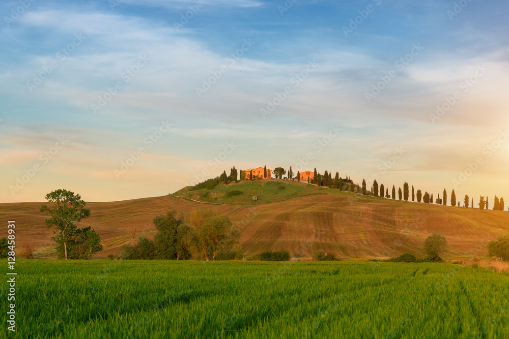 Fototapeta premium Typical Tuscany landscape springtime in Italy