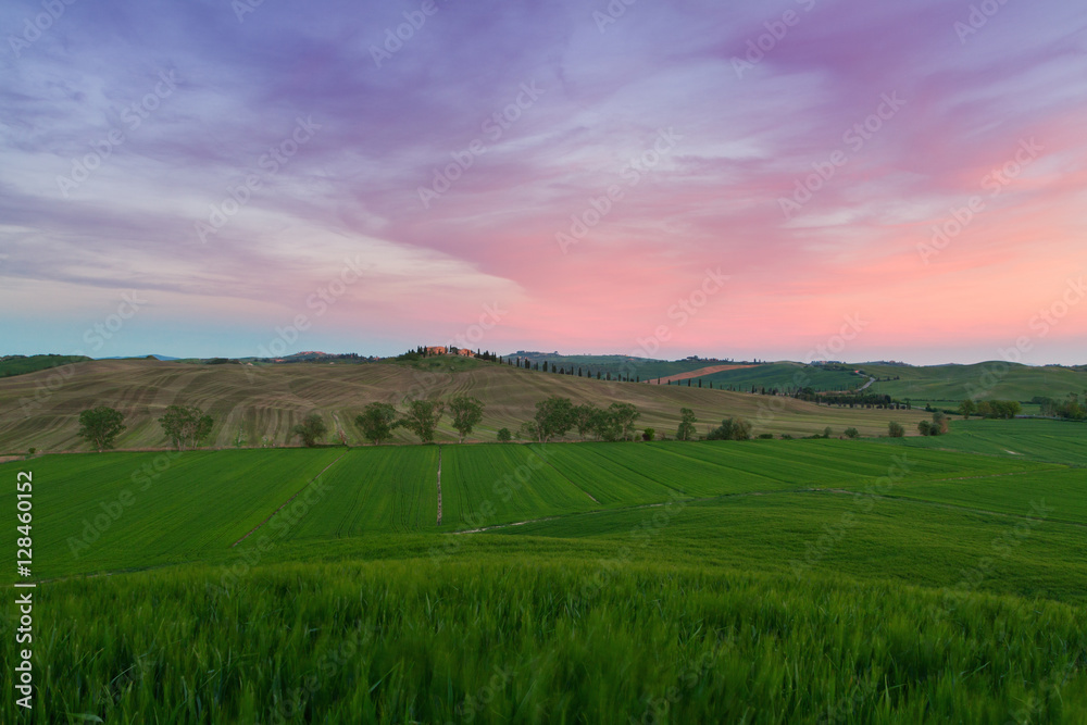 Typical Tuscany landscape springtime at sunset in Italy Typical Tuscany landscape springtime at sunset in Italy