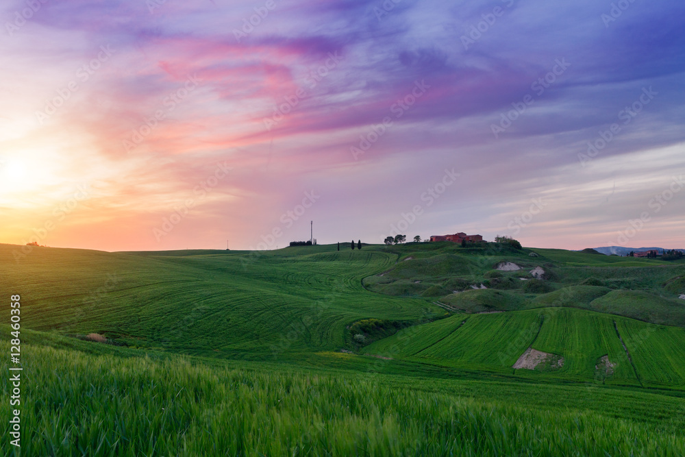 Fototapeta premium Typical Tuscany landscape springtime at sunset in Italy