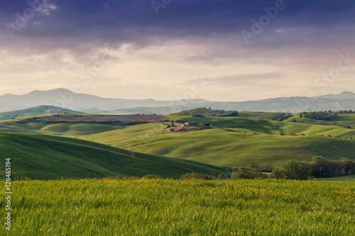 Typical Tuscany landscape springtime at sunrise in Italy © rolandbarat