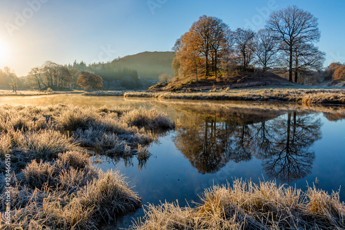 Εκτύπωση καμβά Glowing golden light shining on Autumnal frosty scene at the River Brathay, Lake District, UK