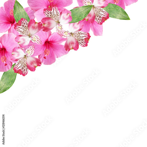 Beautiful floral background of alstroemeria and pink hibiscus