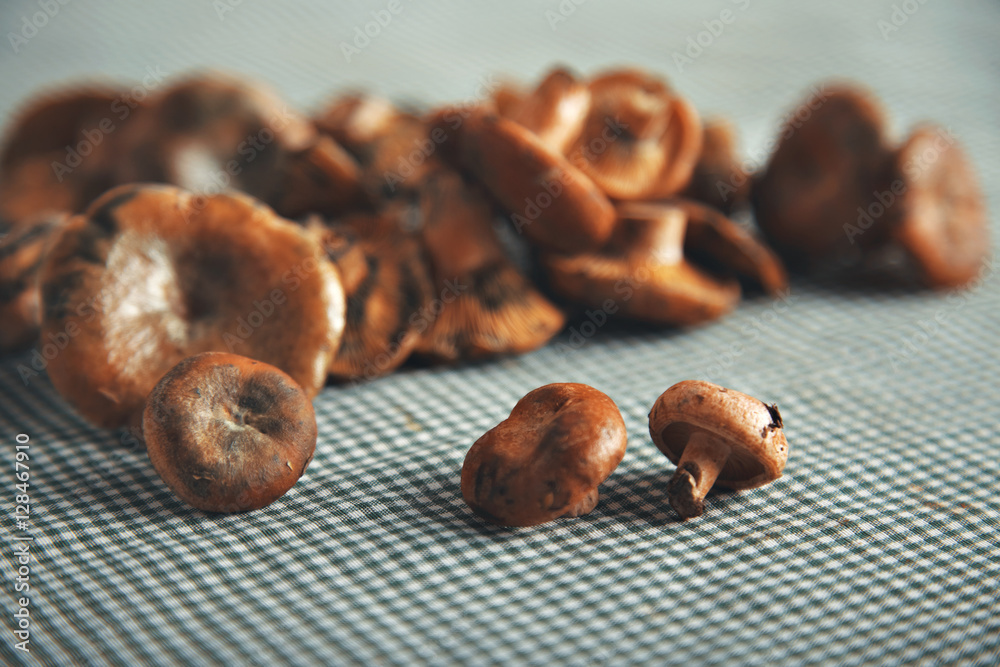 A small pile of raw forest mushrooms ready to be prepared on a table covered with a tablecloth A small pile of raw forest mushrooms ready to be prepared on a table covered with a tablecloth