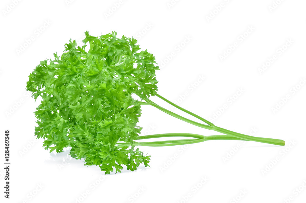 parsley isolated on white background parsley isolated on white background