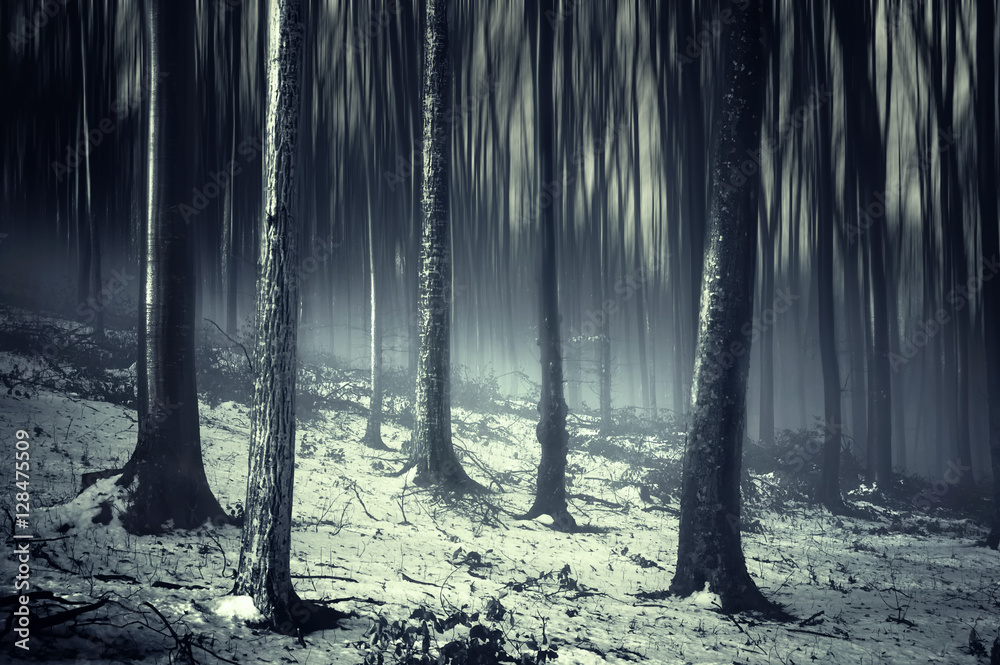 Obraz premium surreal eerie forest