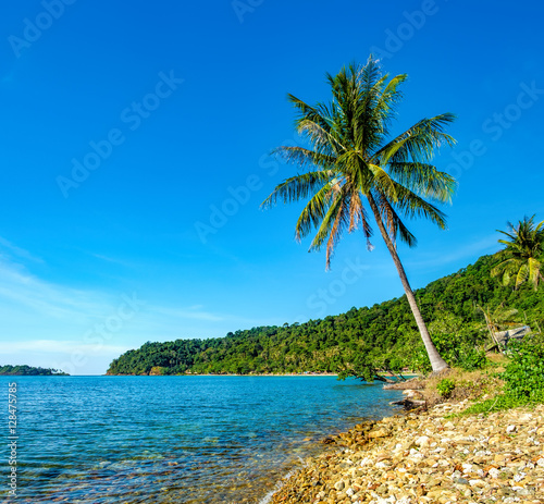 Tropical pebble beach with coconut palm  Lonely Beach  Koh Chang island Thailand.