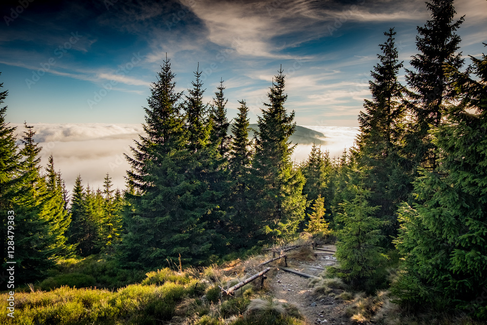 mountain roads collection