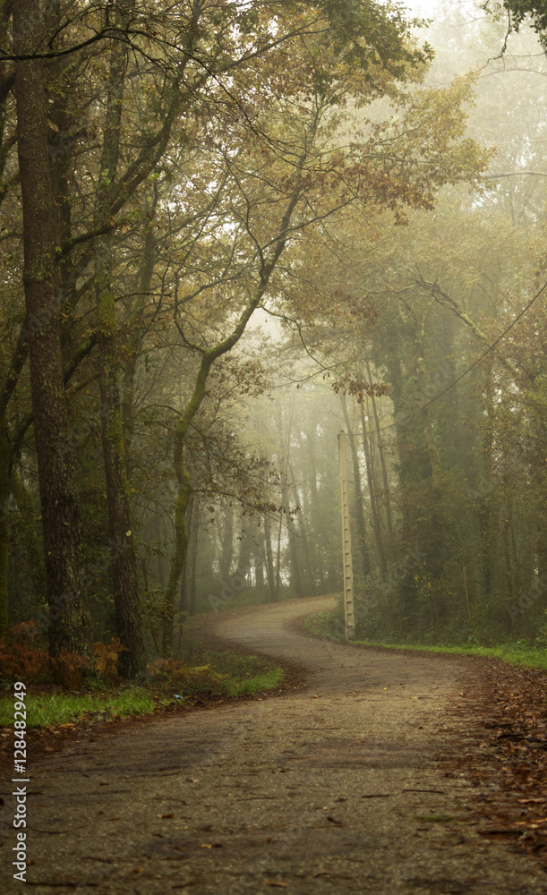 Autumn scene Autumn scene