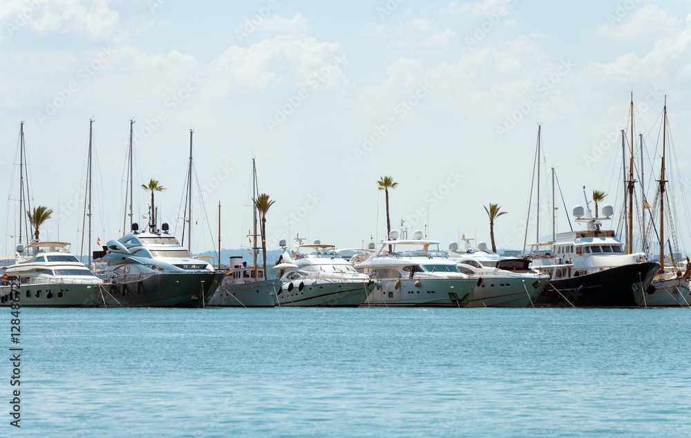 Fototapeta premium Many luxury yachts in the harbor.