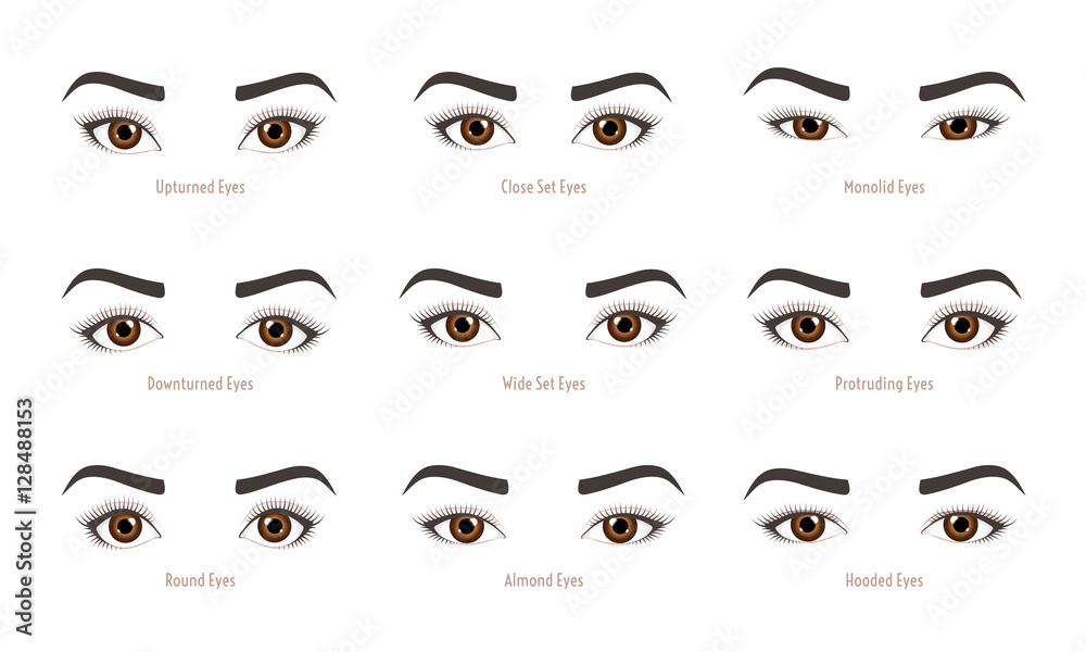 Various types of woman eyes. Set of vector eye shapes. Collection of illustrations with captions. Makeup type infographic. Different - close, protruding, hooded, almond, upturned on white background. - obrazy, fototapety, plakaty 