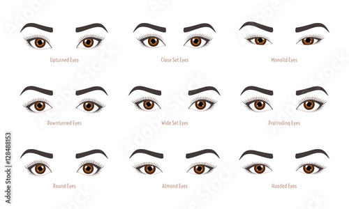 Various types of woman eyes. Set of vector eye shapes. Collection of illustrations with captions. Makeup type infographic. Different - close, protruding, hooded, almond, upturned on white background.
