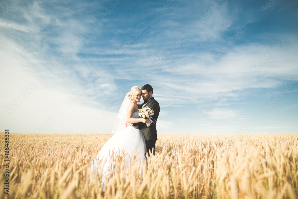 Beautiful wedding couple, bride and groom posing on wheat field with blue sky