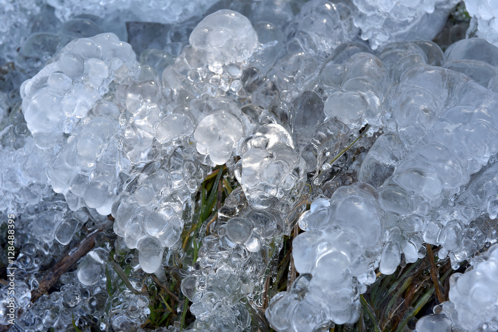 Abstract ice crystals on frozen plants Abstract ice crystals on frozen plants