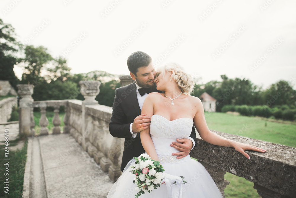 Happy wedding couple hugging and kissing on background old castle Happy wedding couple hugging and kissing on background old castle