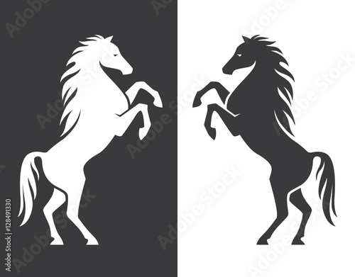 Rearing up horse silhouette