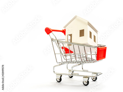 house in supermarket shopping cart