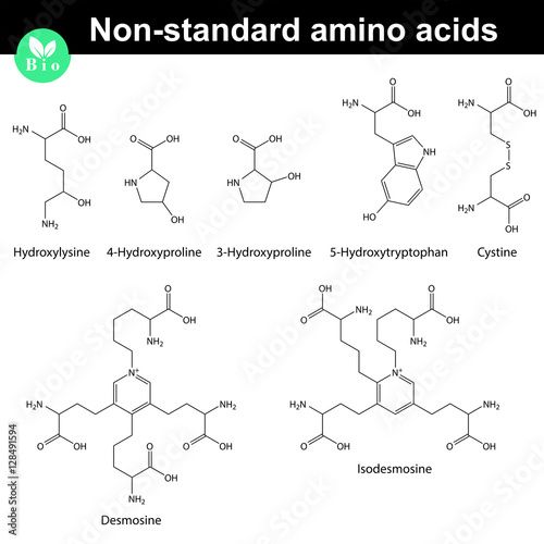 Non-standard amino acids molecular structures