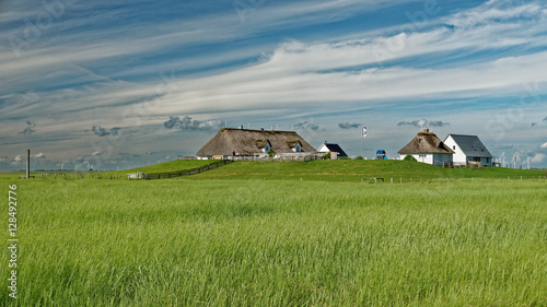 Hamburger Hallig