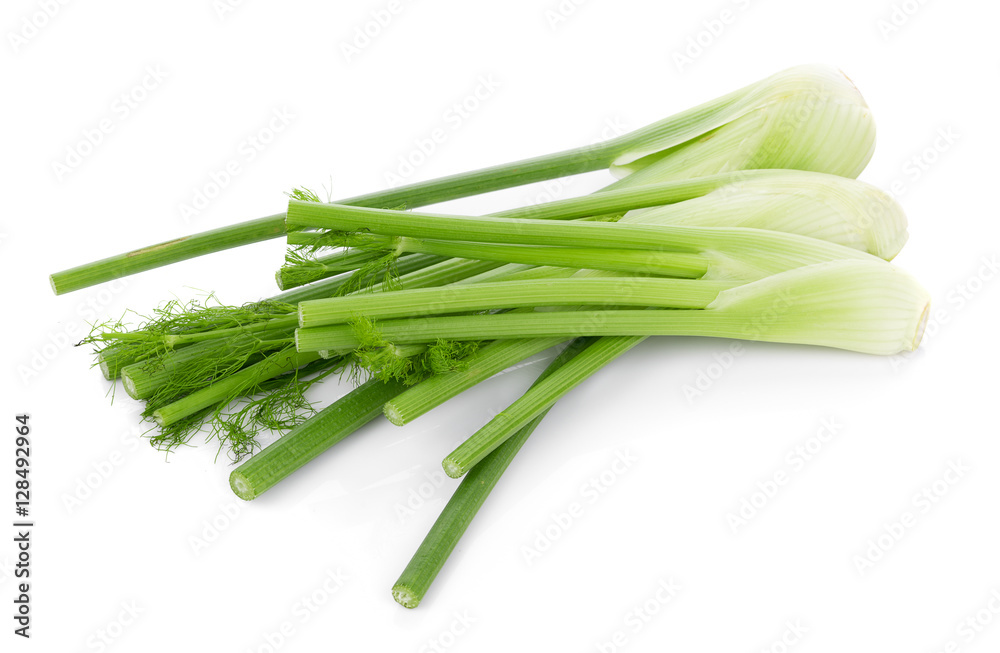 closeup fresh fennel bulb isolated on white background closeup fresh fennel bulb isolated on white background