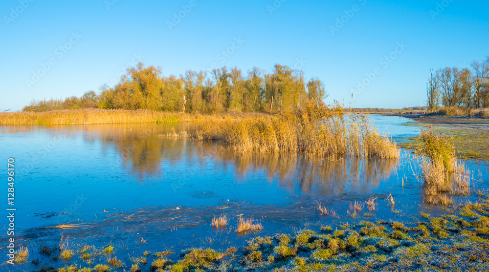 Shore of a frozen lake in sunlight in autumn Shore of a frozen lake in sunlight in autumn