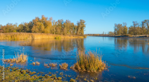 Shore of a frozen lake in sunlight in autumn