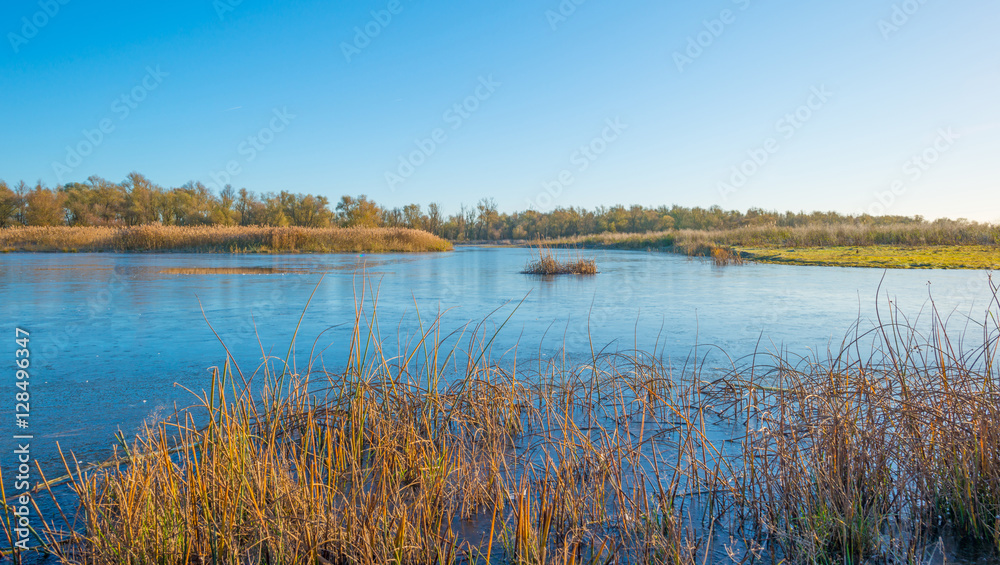 Shore of a frozen lake in sunlight in autumn Shore of a frozen lake in sunlight in autumn