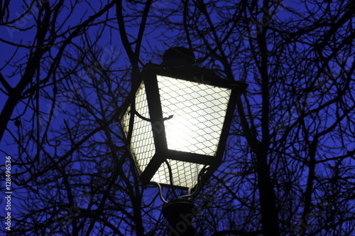ilumina la oscuridad