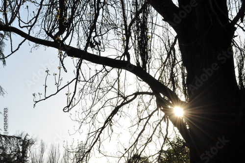 sol atrapado