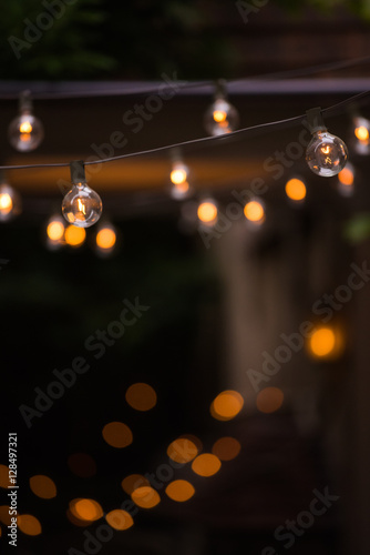 light bulb in garden