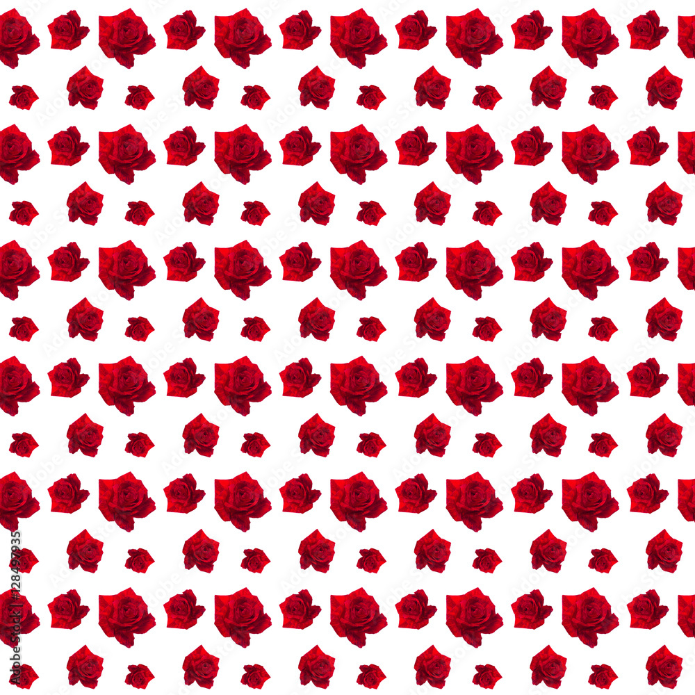 pattern red rose