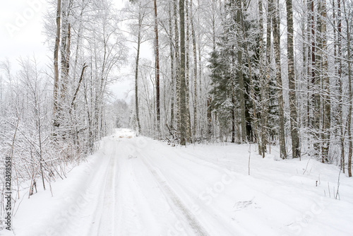 Vanishing snow-covered dirt road through winter forest. Novgorodsky region, Russia    © shujaa_777