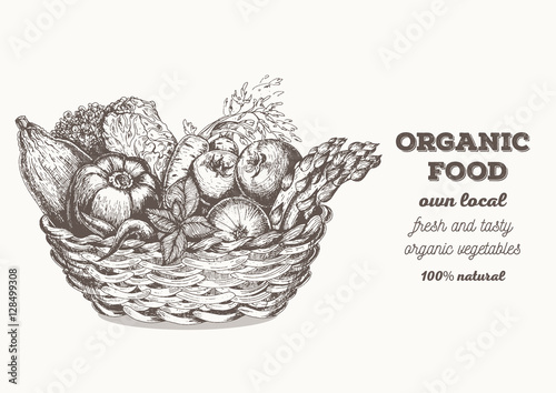 Fresh vegetables in basket vector illustration. Natural farm food. Drawn in ink